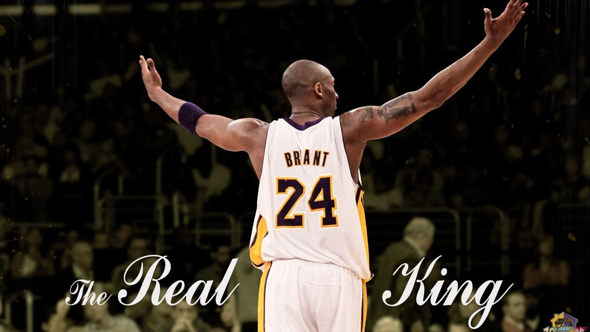 Aster团队配合日益默契，astro团队